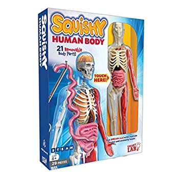 Squishy Human Body (Smartlab)