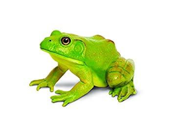 楽天市場】ウシガエル（ホビー）の通販