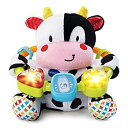 【中古】VTech(ヴイテック) ベビー用 小さなアニマルモージカルビーズ マルチカラー 80-166000