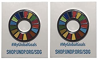 【中古】国連本部限定販売 SDGs ピンバッジ 日本未発売 UN 2個セット
