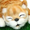 【中古】笑い転げる猫 イエロー
