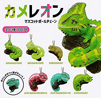 【中古】カメレオン マスコットボールチェーン [全6種セット(フルコンプ)]