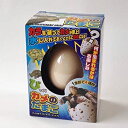 【中古】水に入れるとたまごからカメが! びっくりたまご カメ 206-669