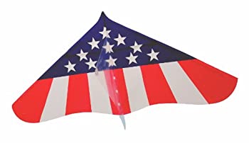 【中古】【未使用未開封】あおぞら(Aozora) ゲイラカイト アメリカン