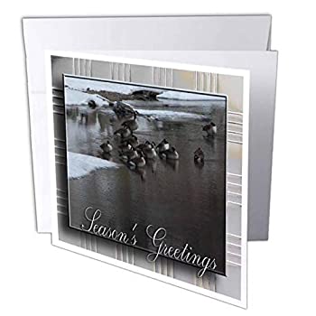 【中古】【輸入品・未使用】ビバリーターナークリスマス写真???Geese on the snowy川、Season S Greetings???グリーティングカード Set of 12 Greeting Cards