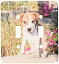 【中古】【輸入品・未使用】3dRose lsp_88780_2 アメリカン・ピット・ブル・テリア 子犬 Us05 Zmu0076 ザンドリア・ムエンチ・ベラルド ダブル・トグルスイッチ 13,501円