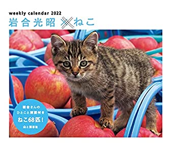 【中古】カレンダー2022 岩合光昭×ねこ (週めくり・卓上/壁掛け・リング) (ヤマケイカレンダー2022)の商品画像