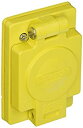 【中古】【未使用未開封】Leviton 1連レセプタクル、15Aロック、ウェットガード耐腐食性。 60W03 1