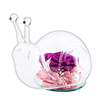 【中古】【輸入品・未使用】EFKZARR永遠の花のカタツムリの形永遠のバラ友人や親戚へのクリエイティブなギフトパープル