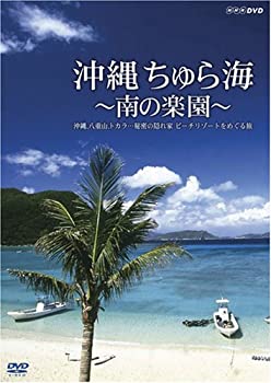 【中古】日本列島列車大行進2007 [DVD]