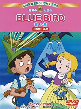 【中古】デジ絵の文法 [DVD]