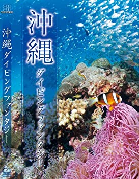 【中古】運転室展望ファイル VOL.10 JR東日本E231系普通列車 伊東~国府津 [DVD]