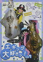 【中古】近鉄 湯の山温泉サマーライナー 内部 八王子線 近鉄名古屋~湯の山温泉 全線往復/内部 八王子線全線 DVD