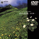 【中古】テイチクDVDカラオケ スーパー10