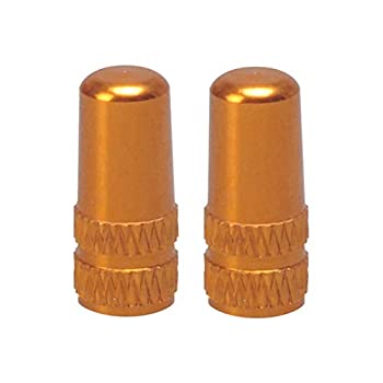 【中古】エアシリンダー FESTOタイプラウンドミニステンレススチール空気空気圧シリンダー DSNU-10-20-..