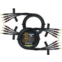 【中古】World BEST CABLES 10フィート - Canare 4S11 ? オーディオマニアグレード - HiFi Star-Quad Bi-Am...