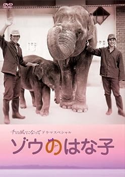 【中古】千の風になってドラマスペシャル 「ゾウのはな子」 [DVD]