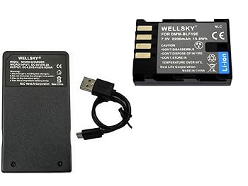 WELLSKY DMW-BLF19 互換バッテリー 1個 & DMW-BTC10 DMW-BTC13 超軽量 バッテリーチャージャー USB Type C 急速 互換充電器 1個  [