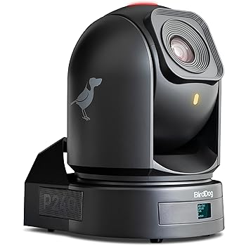 šBirdDog P240B 1080P Full NDI PTZ  ֥å
