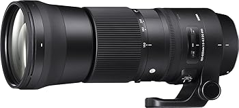 【中古】[セレクト](CANON用)Contemporary 150-600mm F5-6.3 DG OS HSM