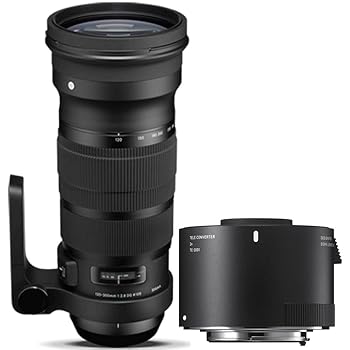 楽天市場】シグマ 120-300mm F2.8 DG OS HSM ニコン 中古の通販 楽天市場】シグマ 120-300mm F2.8 DG OS HSM ニコン 中古の通販