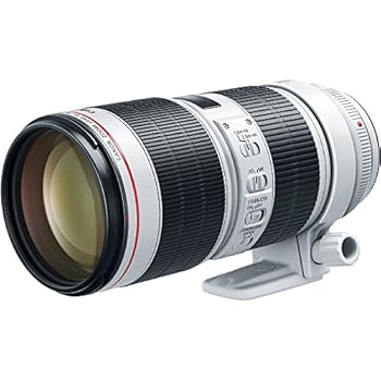 【中古】キャノンEF 70-200mm f/2.8LはIII USMレンズ。キャノンデジタル一眼レフカメラ用(認定リファービッシュ)。