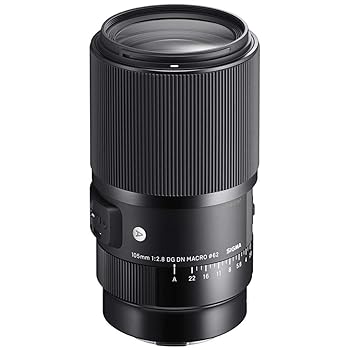 【中古】シグマ(Sigma) SIGMA シグマ Lマウント レンズ 105mm F2.8 DG DN MACRO 単焦点 望遠 フルサイズ Art ミラーレス 専用
