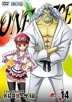 [중고] ONE PIECE 원피스 17TH 시즌 드레스 로자 편 piece.14 [DVD]