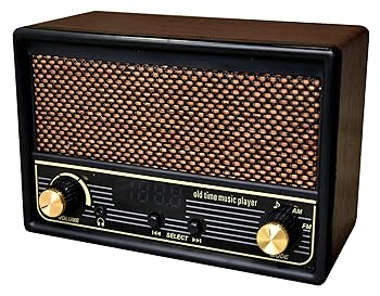 【中古】FESCO 唱歌ラヂオ DX100 AM/FMラジオ付き音楽プレイヤー SRDX-001