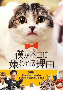 【中古】僕がネコに嫌われる理由 [DVD]