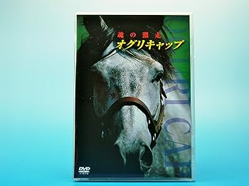 楽天市場】オグリキャップ dvd(CD・DVD)の通販 楽天市場】オグリキャップ dvd(CD・DVD)の通販