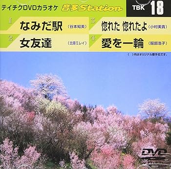 【中古】テイチクDVDカラオケ 音多Station