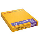 【中古】Kodak カラーネガティブフィルム プロフェッショナル用 ポートラ160 4X5(10枚入り) 1710516