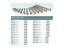 【中古】4×8 チタンヘックスボタンビス (6本入) NTR-408(3)