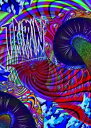 【中古】TRIPPIN' (DIRTY PIMP htsb0152) 【スノーボードDVD】