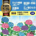 【中古】テイチクDVDカラオケ カラオケサークルW ベスト4