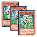 【中古】3枚 遊戯王 日本語版 LVAL-JP018 Sylvan Flowerknight 森羅の花卉士 ナルサス (ノーマル)