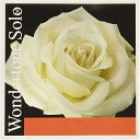 【中古】PIRASTRO Wondertone Solo ワンダートーン・ソロ ヴァイオリン4弦セット(E線:シルバリースチール ループエンド)