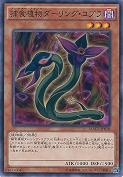 【中古】遊戯王OCG 捕食植物ダーリング・コブラ ノーマル MACR-JP010 遊☆戯☆王ARC-V [マキシマム・クライシス]