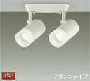 【中古】大光電機(DAIKO) スポットライト LED 8.1W×2灯 昼白色 5000K DSL-5323WW