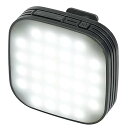 【中古】ケンコー(Kenko) スマホ用LEDライト リアルプロクリップライト 自撮り用 フラッシュモード搭載 10段階光量調整 KRP-32L