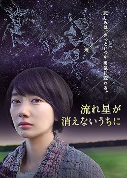 【中古】流れ星が消えないうちに [DVD]