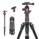 【中古】ZOMEI M5カメラ三脚、軽量旅行用アルミニウム三脚一脚、コンパクトポータブル写真三脚スタンド、360度ボールヘッドと電話クリップ付き デジタル