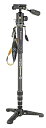 【中古】【未使用】VANGUARD VEO 2S CM-264T BP 120T スタンド一脚 VEO 2Sシリーズ 雲台付き カーボン4段
