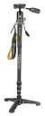 【中古】【未使用】VANGUARD VEO 2S AM-234T BP 50T スタンダート一脚 VEO 2Sシリーズ 雲台付き アルミ製 4段
