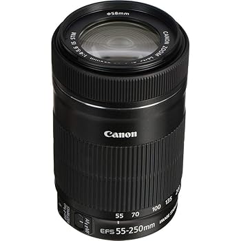 【中古】【未使用】EF S 55 to 250mm f 4 5.6 IS 【中古】【未使用】EF S 55 to 250mm f 4 5.6 IS