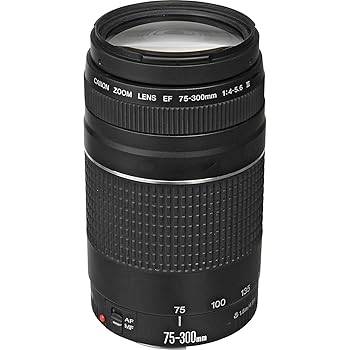 【中古】Canon EF 75 ? 300 mm f / 4 ? 5.6 III USM望遠ズームレンズfor Canon SLR Cameras (認定Refurbished ) 【中古】Canon EF 75 ? 300 mm f / 4 ? 5.6 III USM望遠ズームレンズfor Canon SLR Cameras (認定Refurbished )
