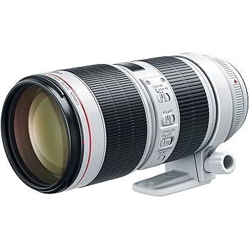 š̤ۡѡۥΥEF 70-200mm f/2.8LIII USM󥺡Υǥե(ǧեӥå...