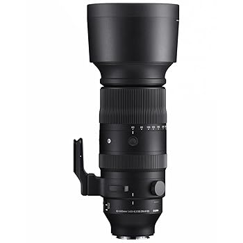 【中古】シグマ 60-600mm F4.5-6.3 DG DN OS Sports ライカL用 【中古】シグマ 60-600mm F4.5-6.3 DG DN OS Sports ライカL用