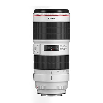 【中古】キヤノン 3044C001 EF70-200mm F2.8L IS III USM